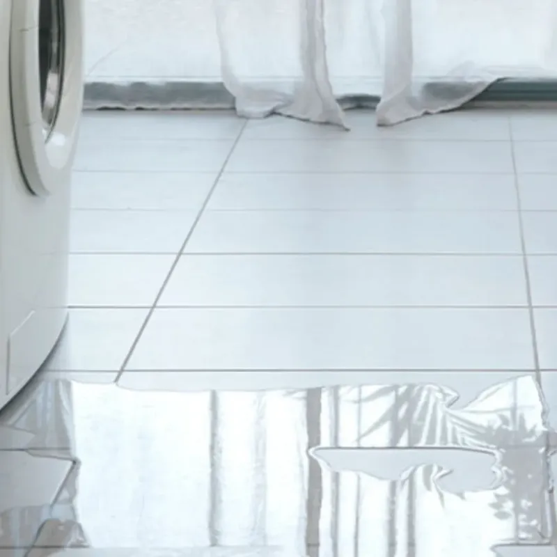 Appliance Leak Cleanup in West Orange, TX
