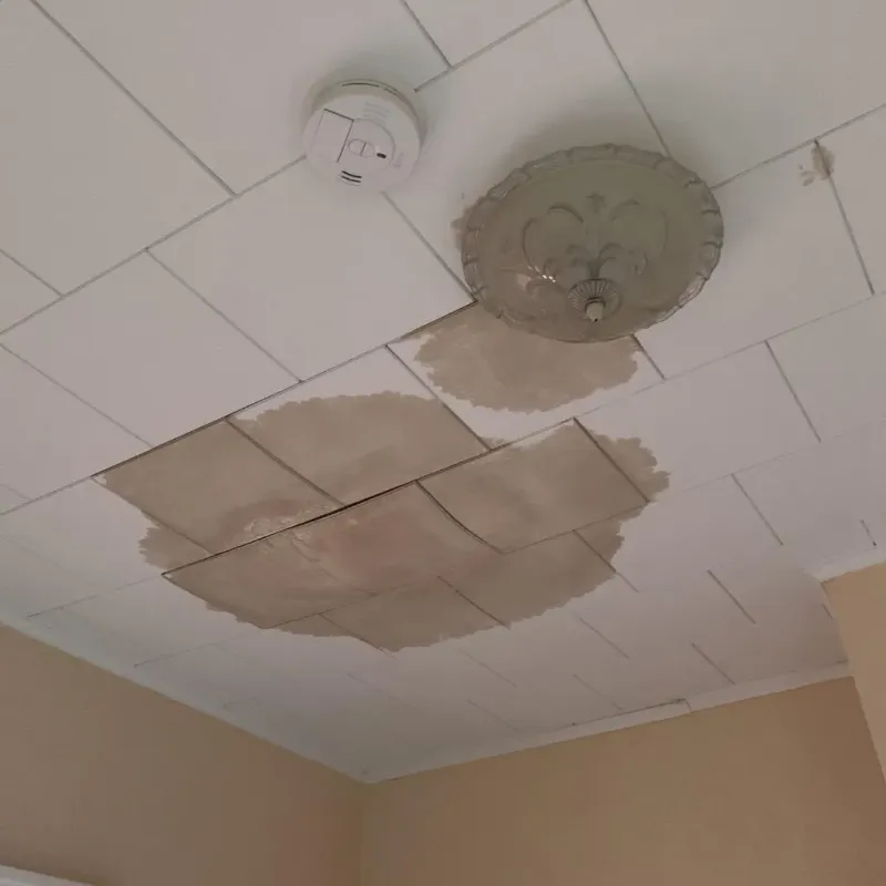 Ceiling Water Damage Repair in West Orange, TX