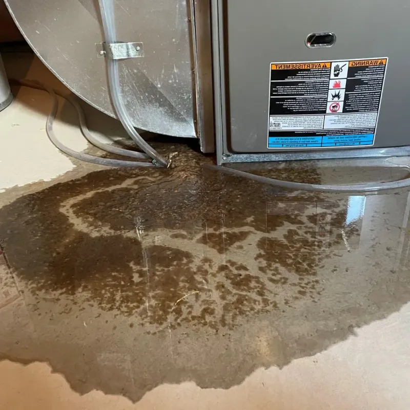 Pipe Burst and Leak Restoration in West Orange, TX